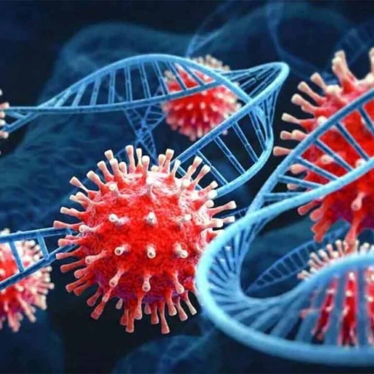 1748397085_corona-corona