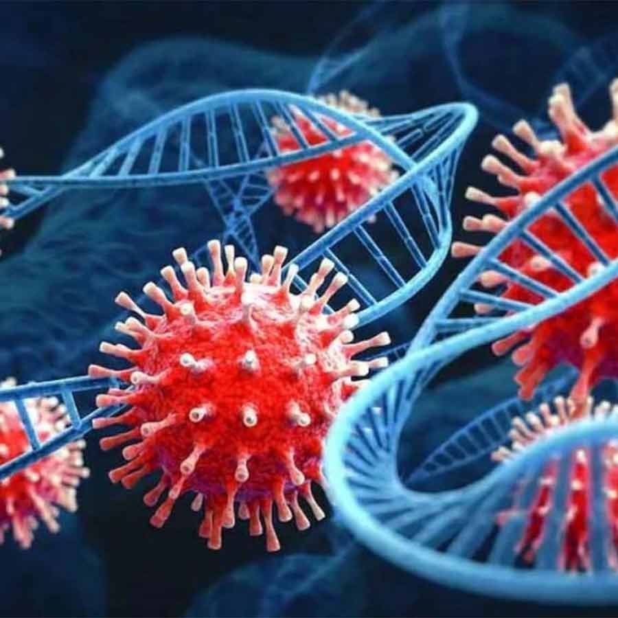 1748397085_corona-corona