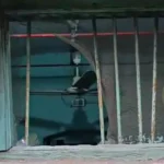 1003762424_1756868047